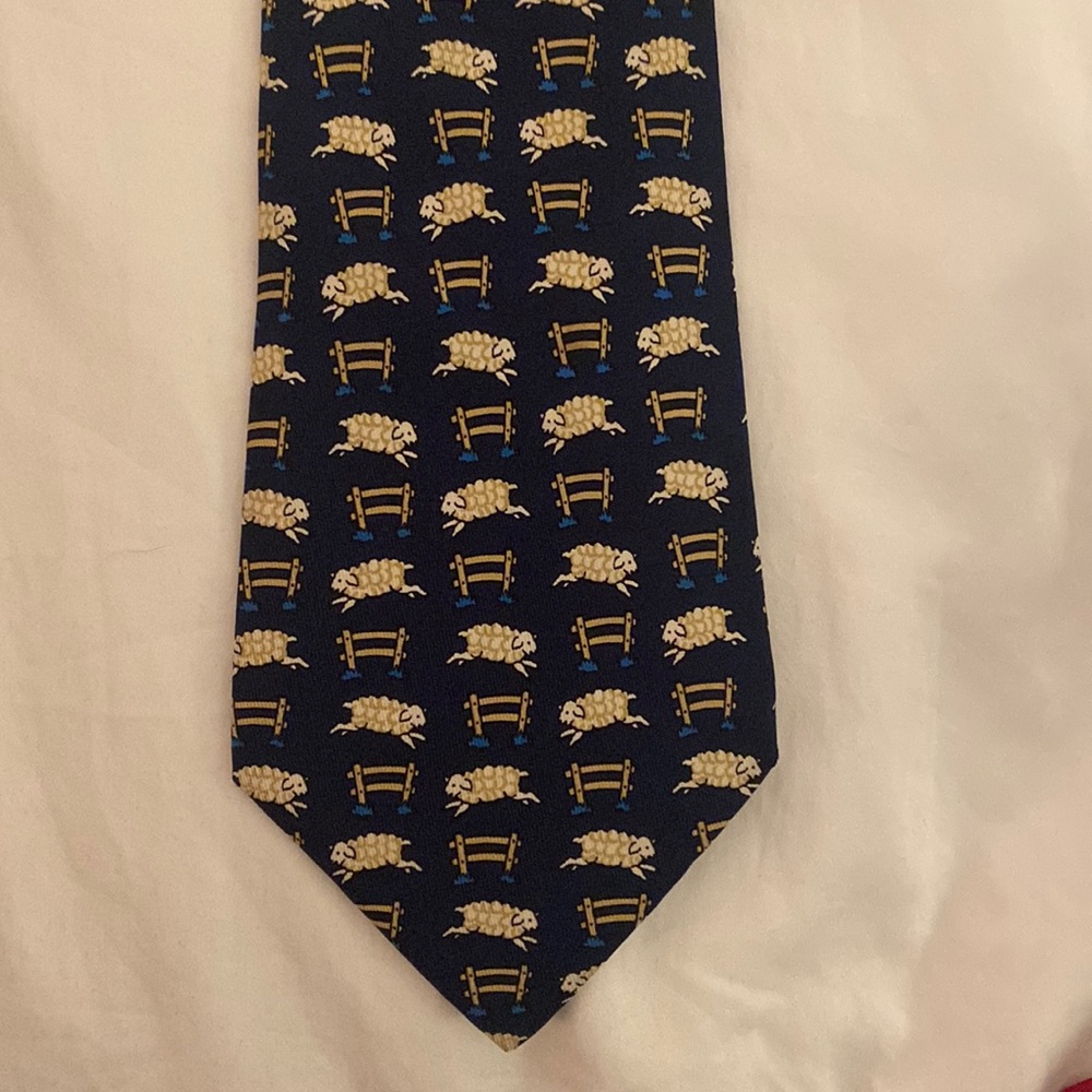 Hermes sheer jumping tie. Regular length.